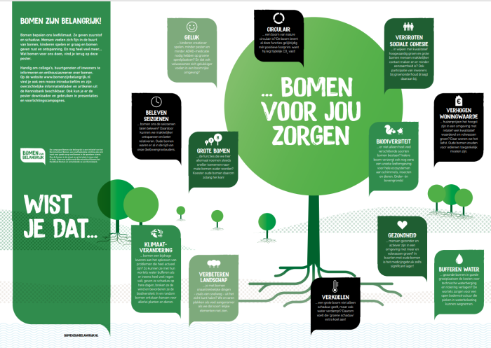 pagina  poster Functies van bomen